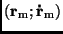 $({\bf r}_{\rm m}; {\bf\dot{r}}_{\rm m})$