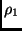 $\rho_1$