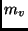 $\displaystyle m_v$