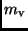 $m_{\rm v}$