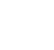 AIU Logo